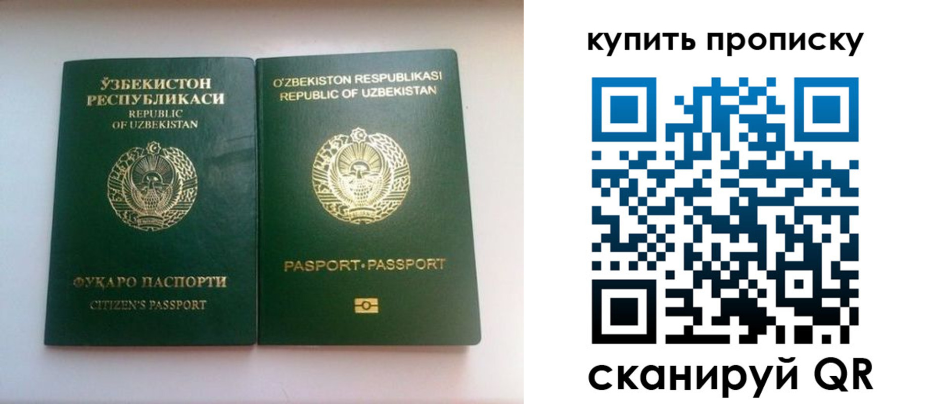 прописка в квартире в Новоузенске